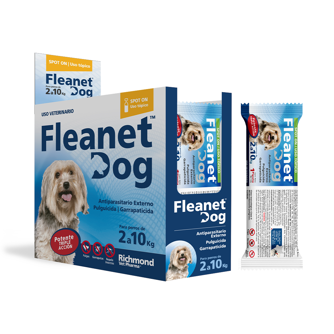 fleanet dog 2 a 10