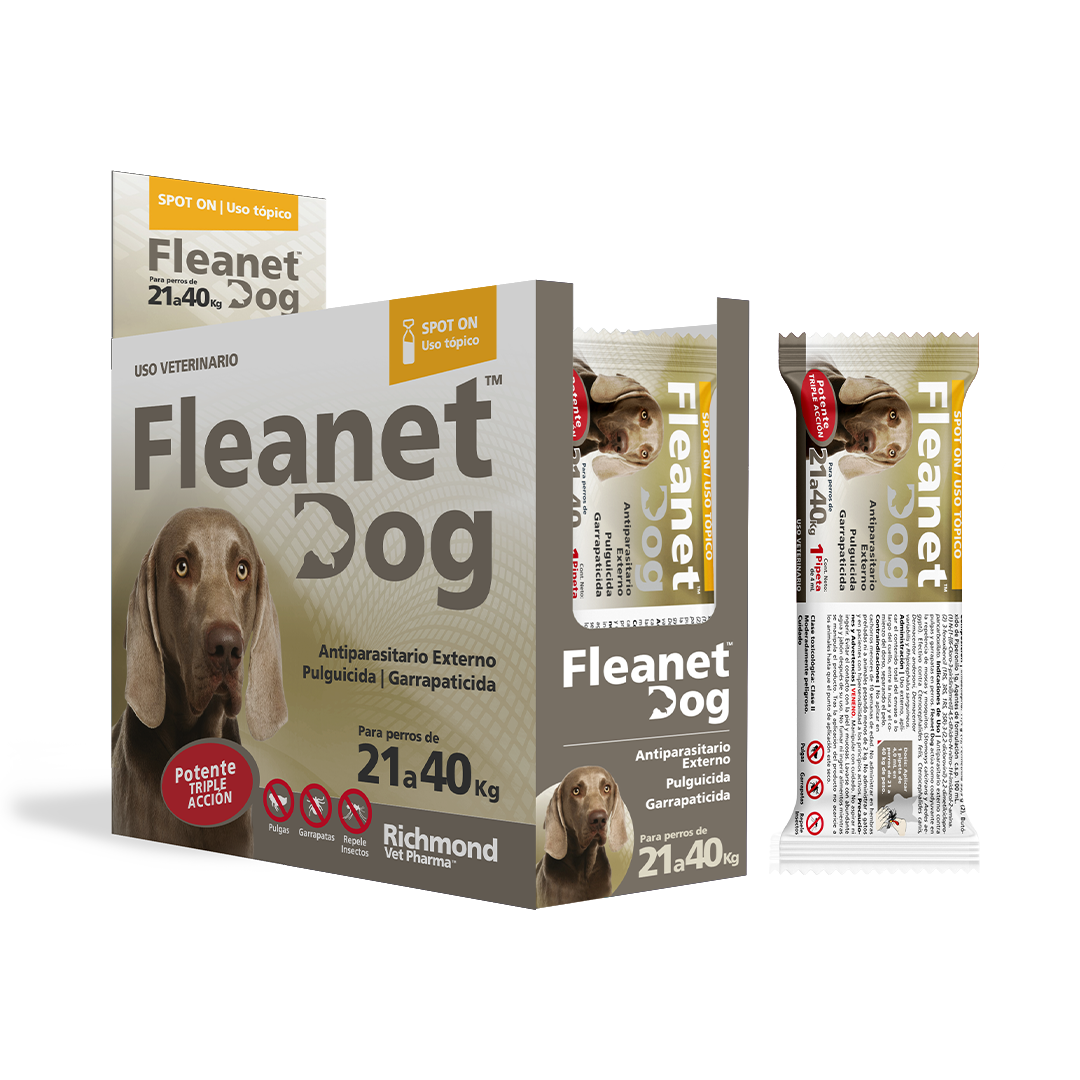 fleanet dog 21 a 40