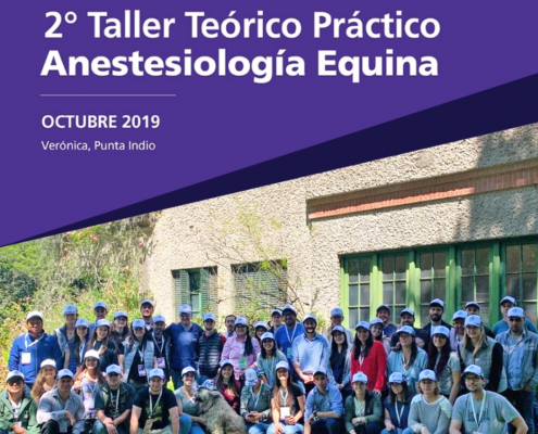 2 Taller Teorico Practico Anestesiologia Equina